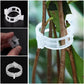 Clips pour plantes grimpantes – Attaches pour tomates et liens pour plantes en plastique 🌱🍅