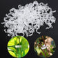 Clips pour plantes grimpantes – Attaches pour tomates et liens pour plantes en plastique 🌱🍅