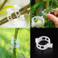 Clips pour plantes grimpantes – Attaches pour tomates et liens pour plantes en plastique 🌱🍅
