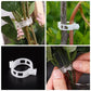 Clips pour plantes grimpantes – Attaches pour tomates et liens pour plantes en plastique 🌱🍅