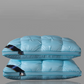 🛏️💤Oreiller ergonomique qualité hôtel – Taille unique, Lavable, Imitation duvet, Garde sa forme pour la maison