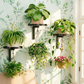 🔥 Soldes Mi-Saison : −50 % jusqu'à épuisement ! ⏰🐦Mangeoire et Abreuvoir à Oiseaux Mural en Fer Forgé – Décoration Artisanale pour Jardin, Terrasse et Balcon🌿